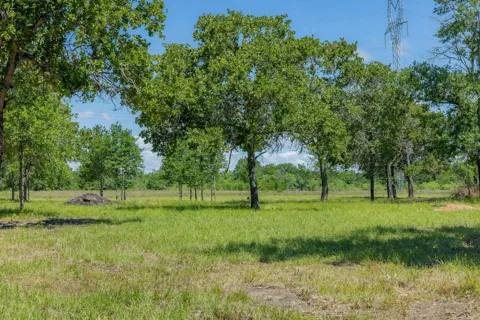 6593 Atakapan Trail