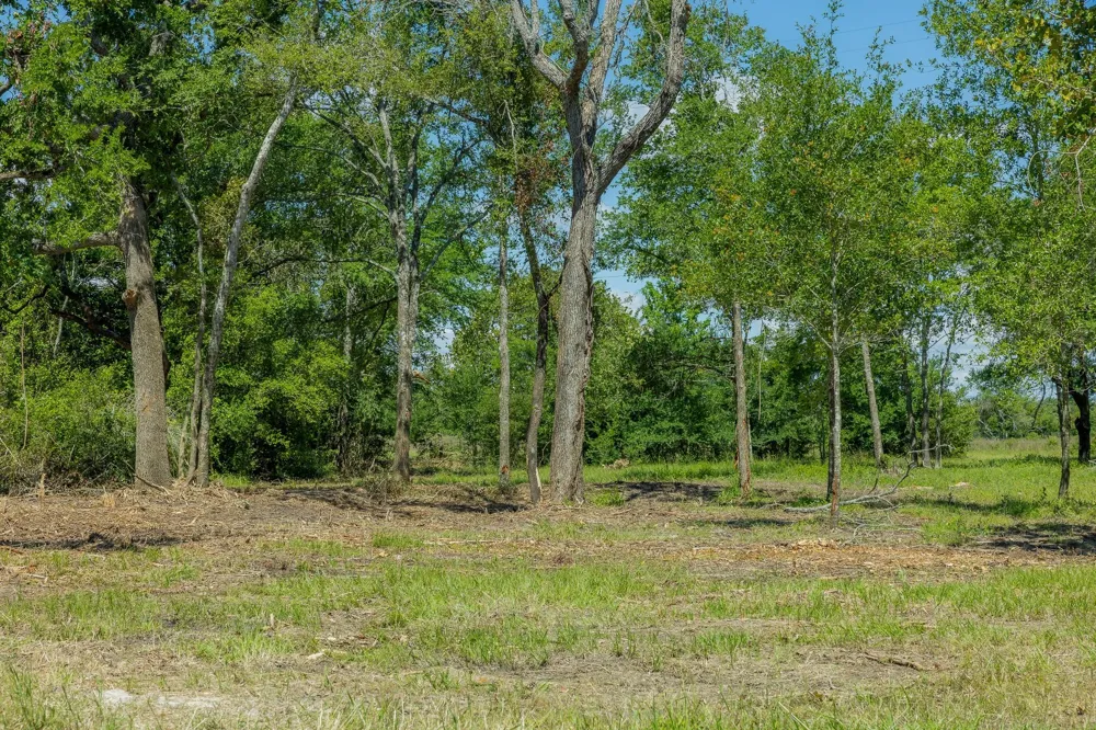 6593 Atakapan Trail Bedias, TX 77831