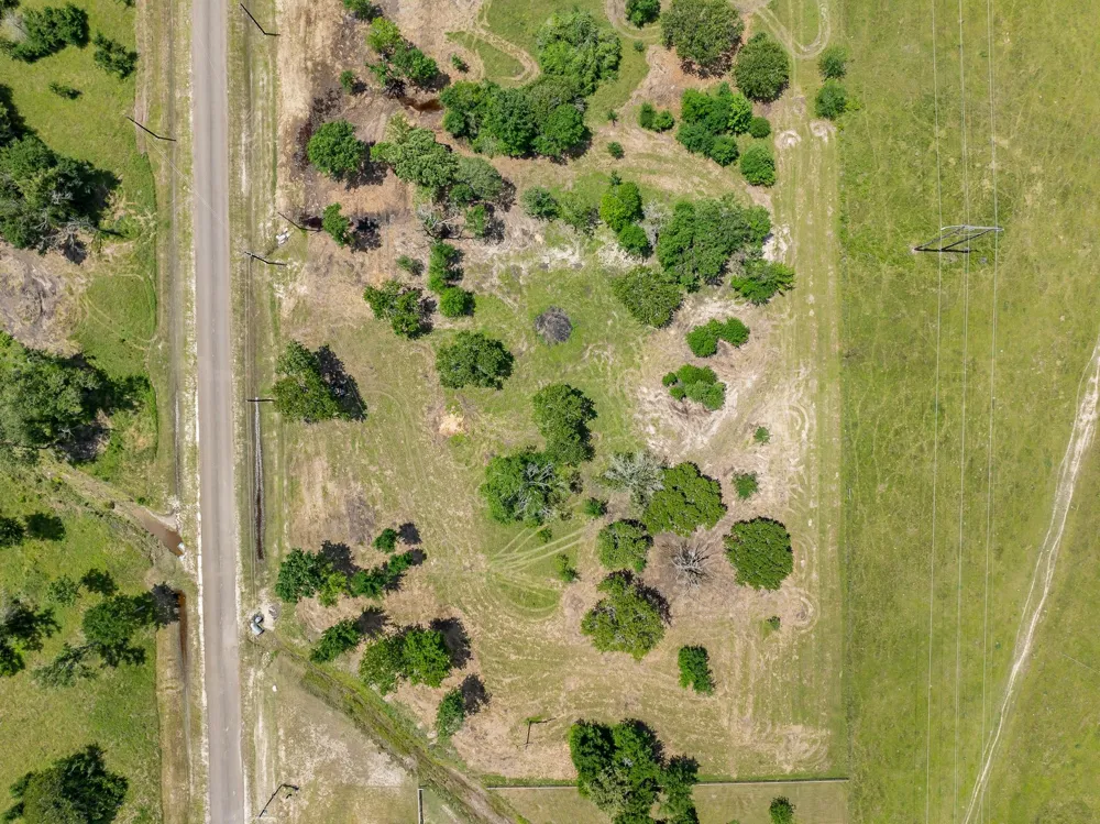 6593 Atakapan Trail Bedias, TX 77831