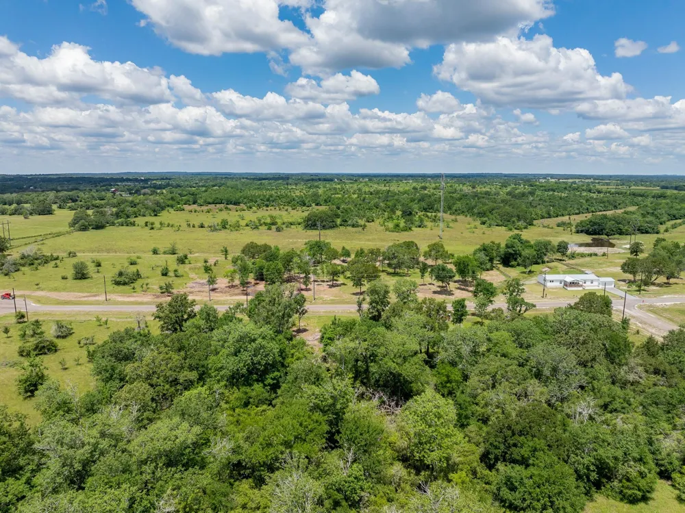 6593 Atakapan Trail Bedias, TX 77831