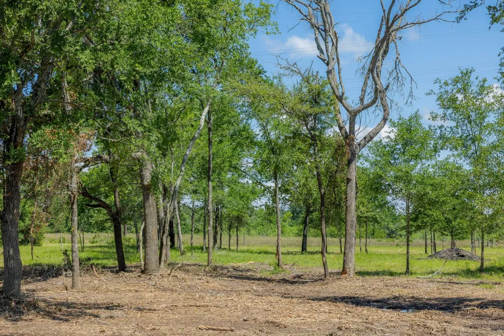 6575 Atakapan Trail Bedias, TX 77831