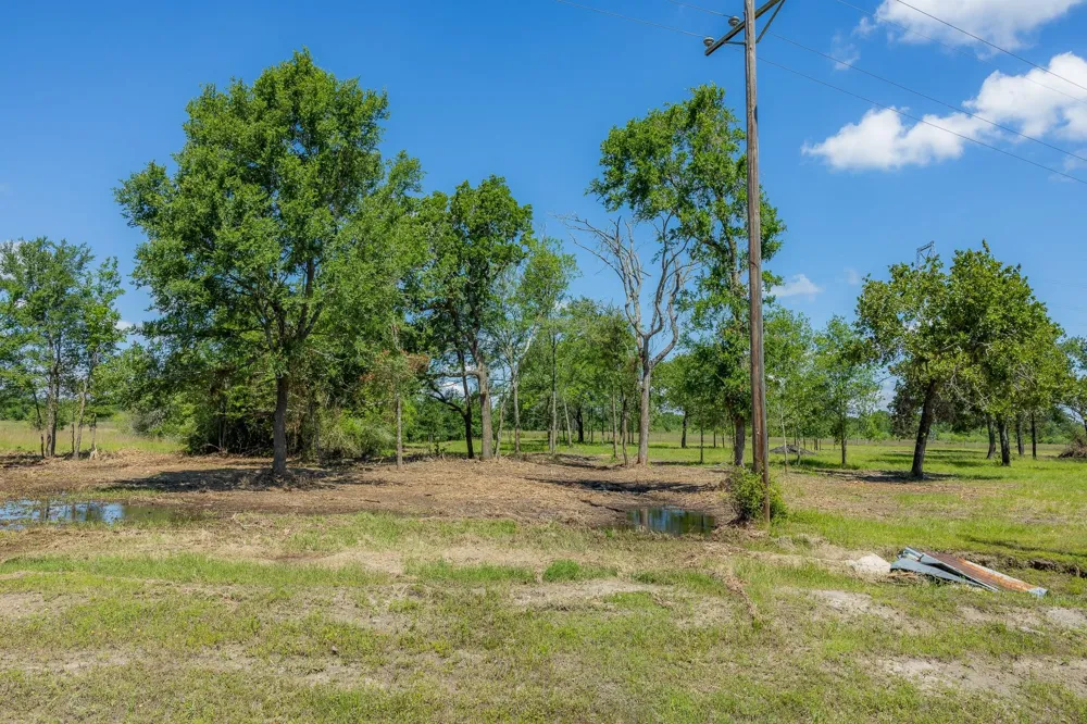 6575 Atakapan Trail Bedias, TX 77831