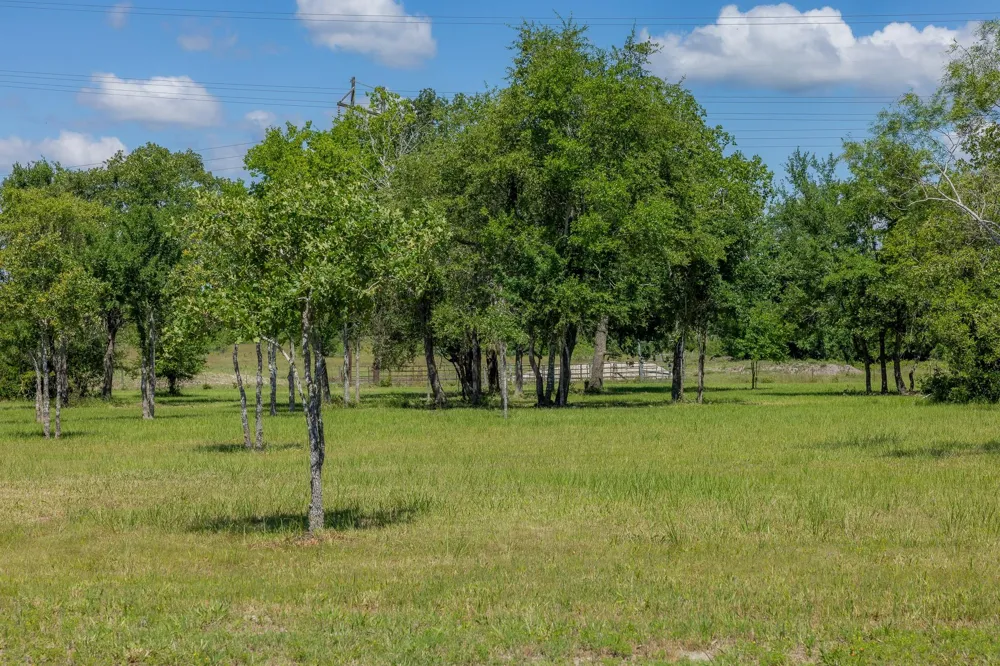 6731 Atakapan Trail Bedias, TX 77831