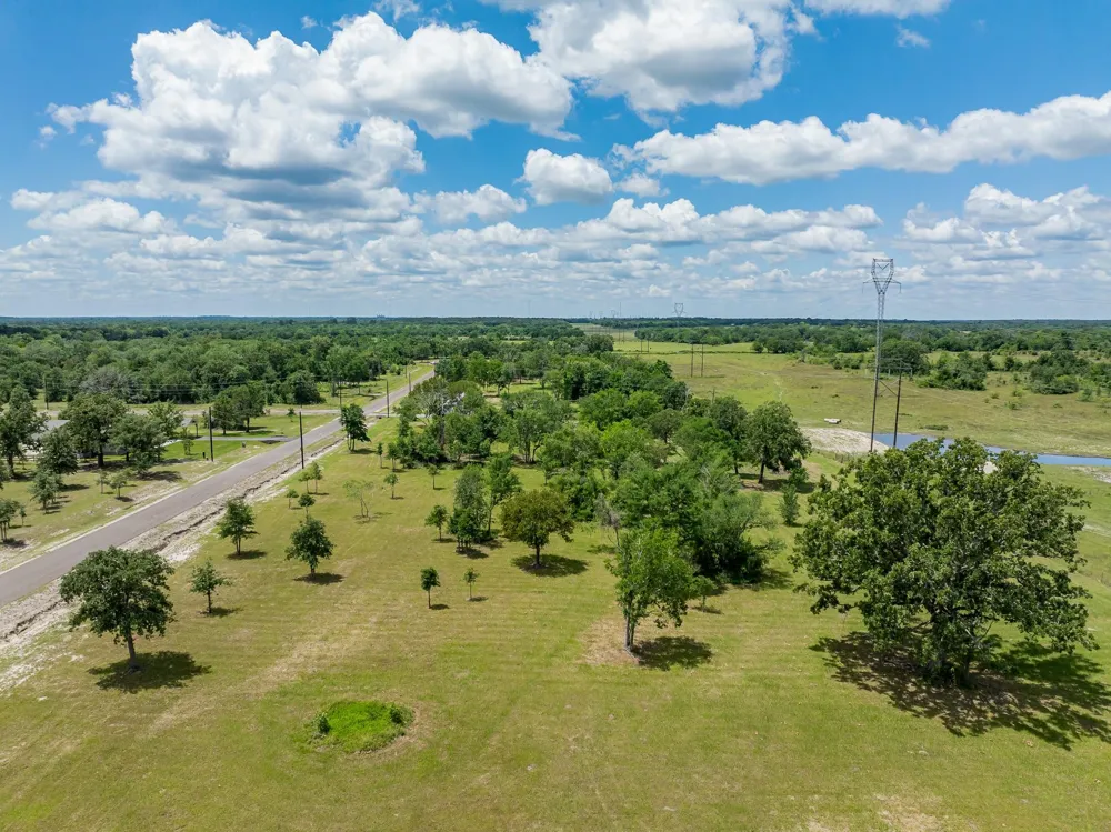 6731 Atakapan Trail Bedias, TX 77831
