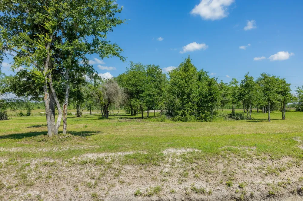 6705 Atakapan Trail Bedias, TX 77831