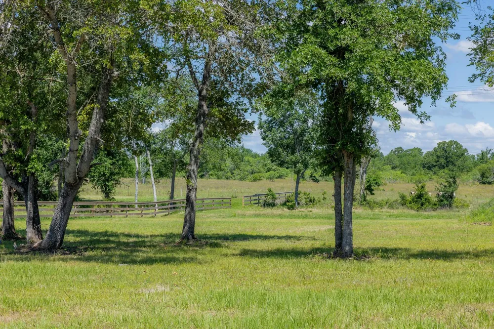 6681 Atakapan Trail Bedias, TX 77831