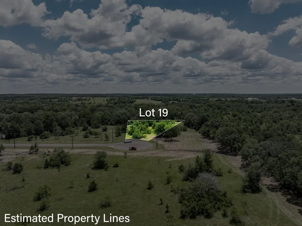 6512 Atakapan Trail Bedias, TX 77831