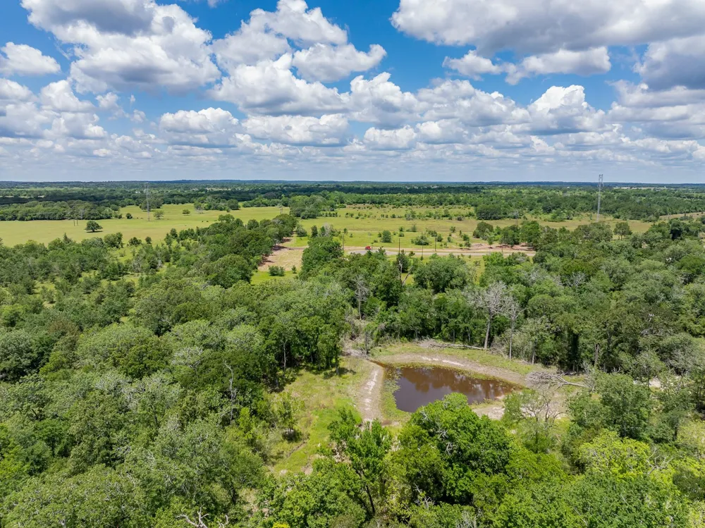 6512 Atakapan Trail Bedias, TX 77831
