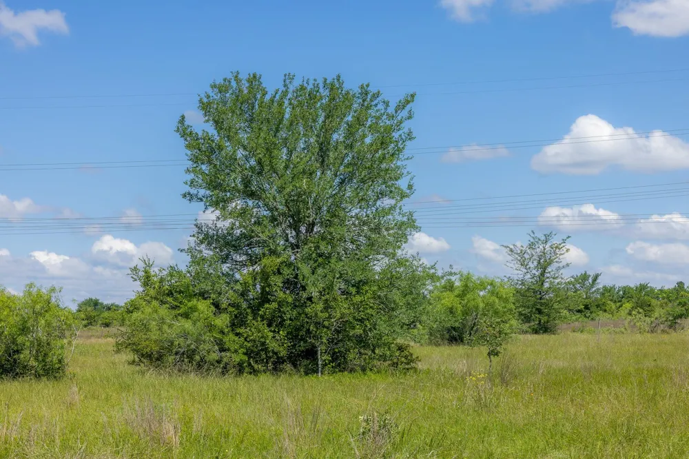 6507 Atakapan Trail Bedias, TX 77831