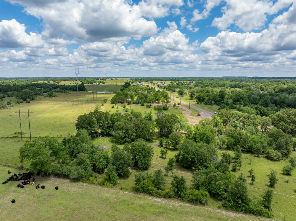 6507 Atakapan Trail Bedias, TX 77831