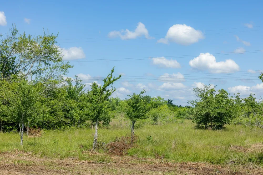 6549 Atakapan Trail Bedias, TX 77831