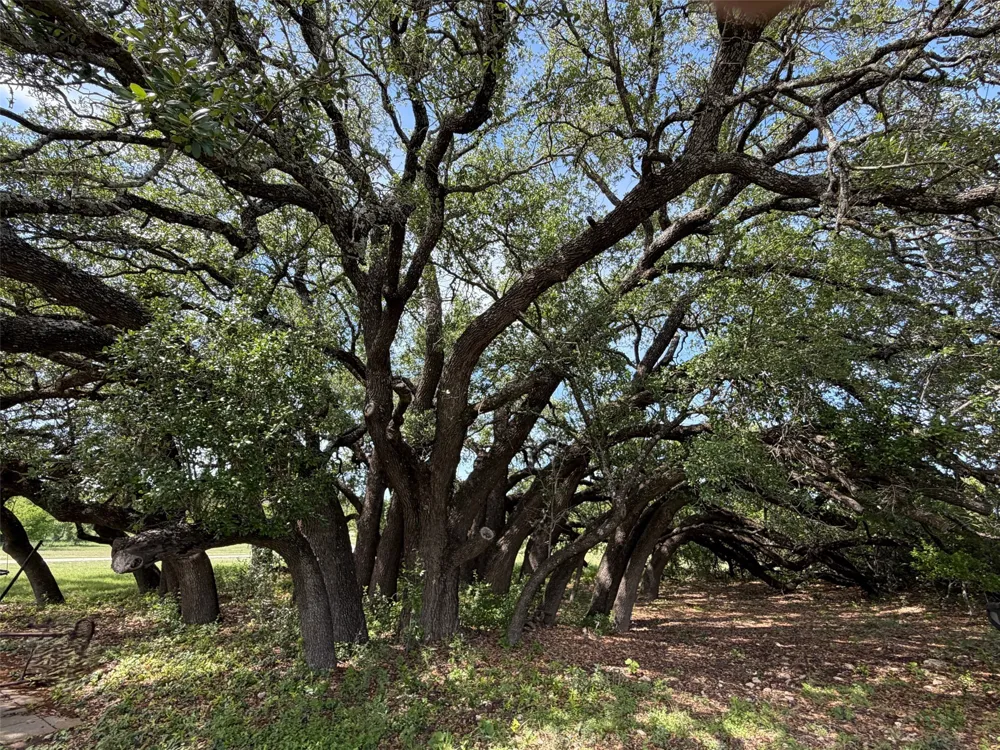 397 Private Road 3072 Lampasas, TX 76550