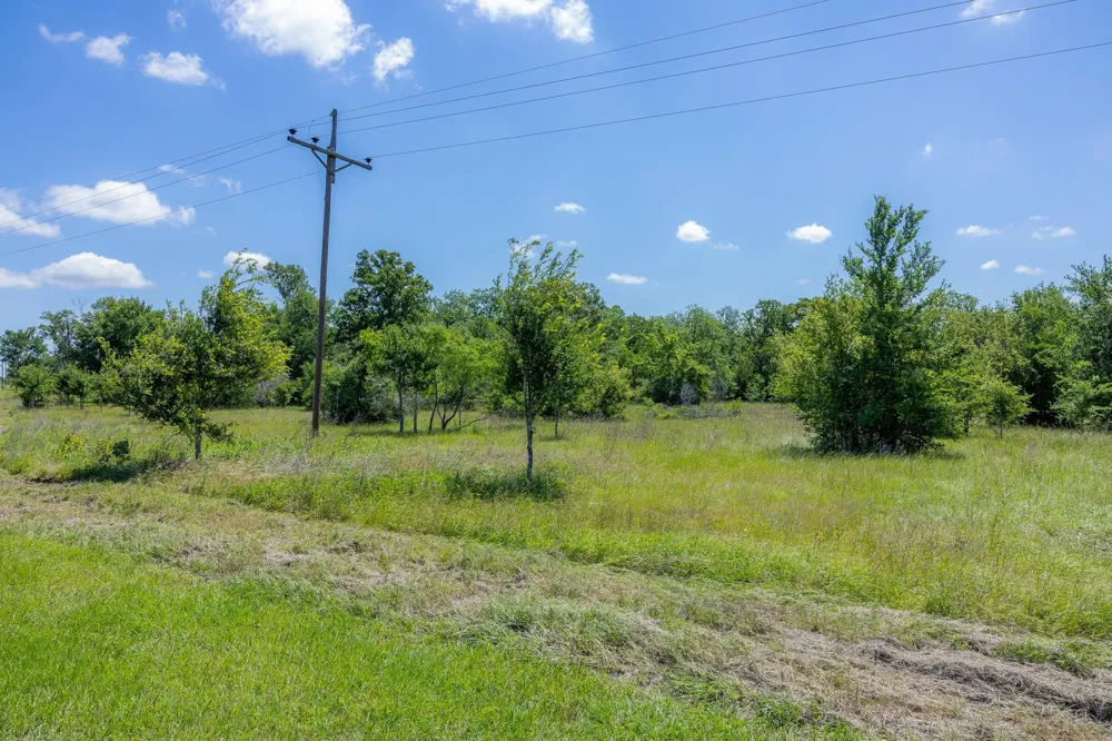 6534 Atakapan Trail Bedias, TX 77831