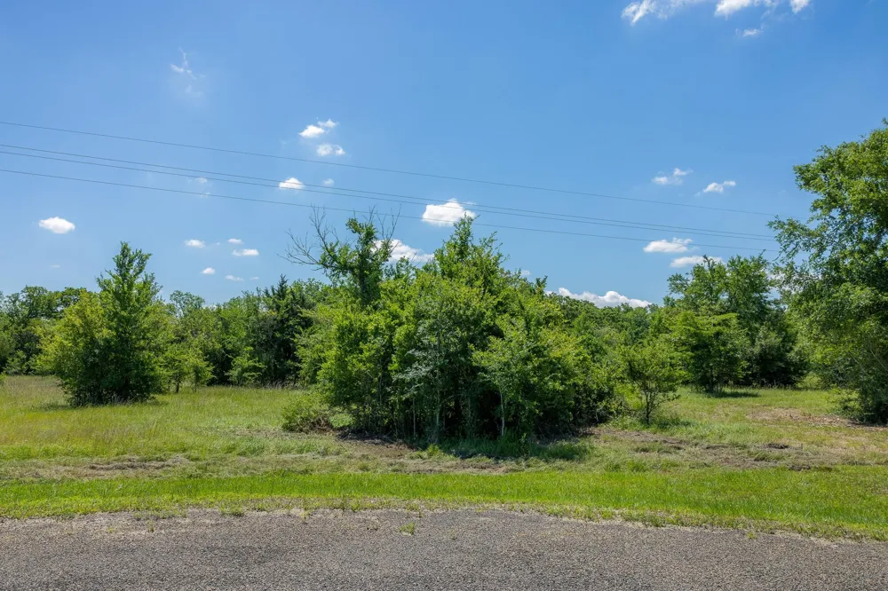 6534 Atakapan Trail Bedias, TX 77831