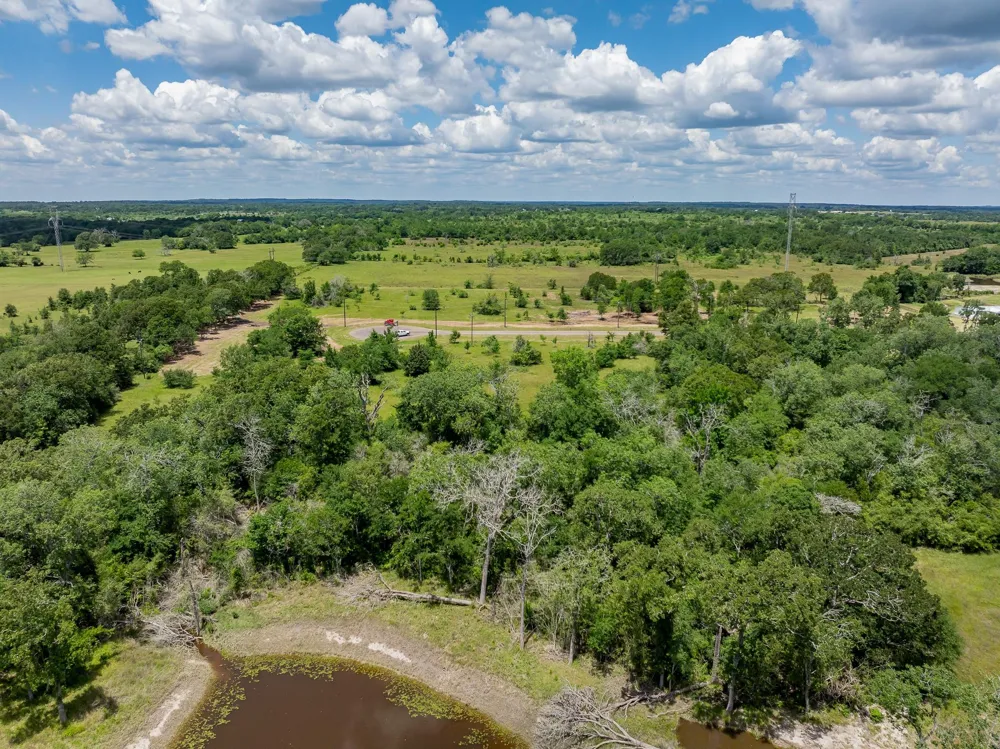6534 Atakapan Trail Bedias, TX 77831