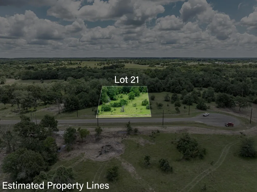 6558 Atakapan Trail Bedias, TX 77831