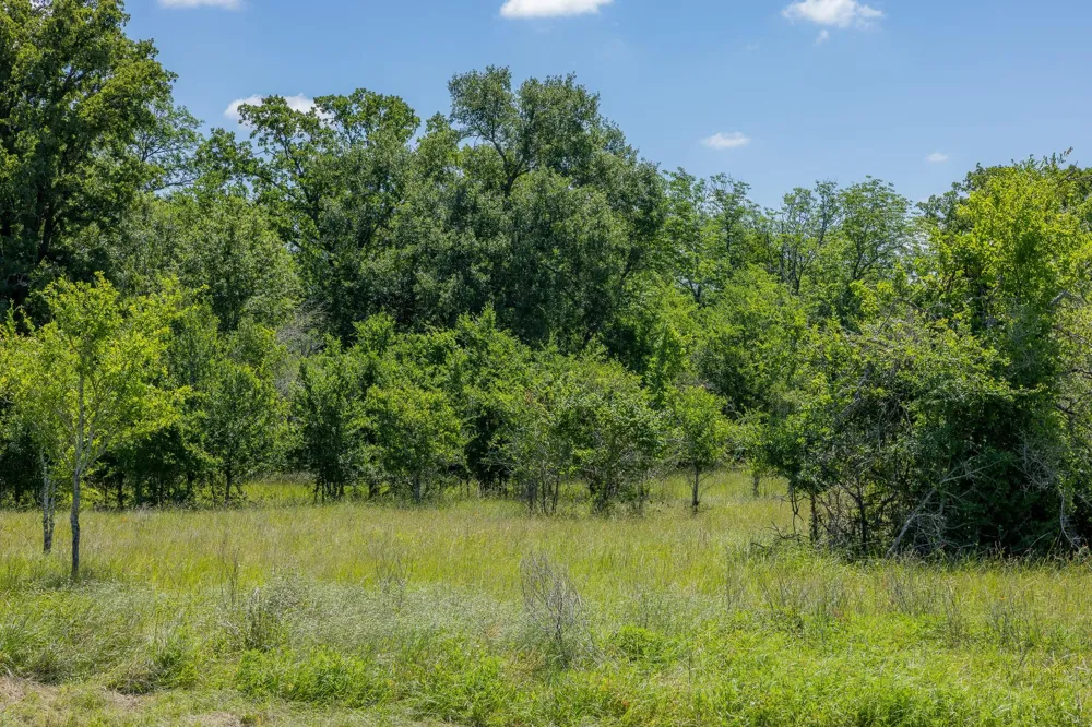 6558 Atakapan Trail Bedias, TX 77831
