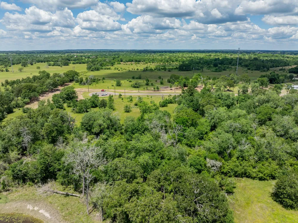 6558 Atakapan Trail Bedias, TX 77831