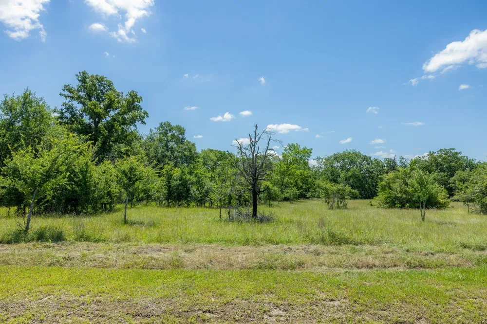 6584 Atakapan Trail Bedias, TX 77831