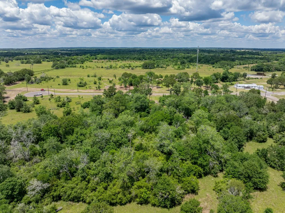 6584 Atakapan Trail Bedias, TX 77831