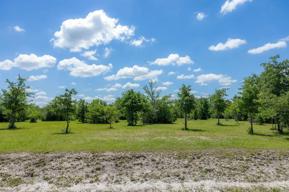 6774 Atakapan Trail Bedias, TX 77831