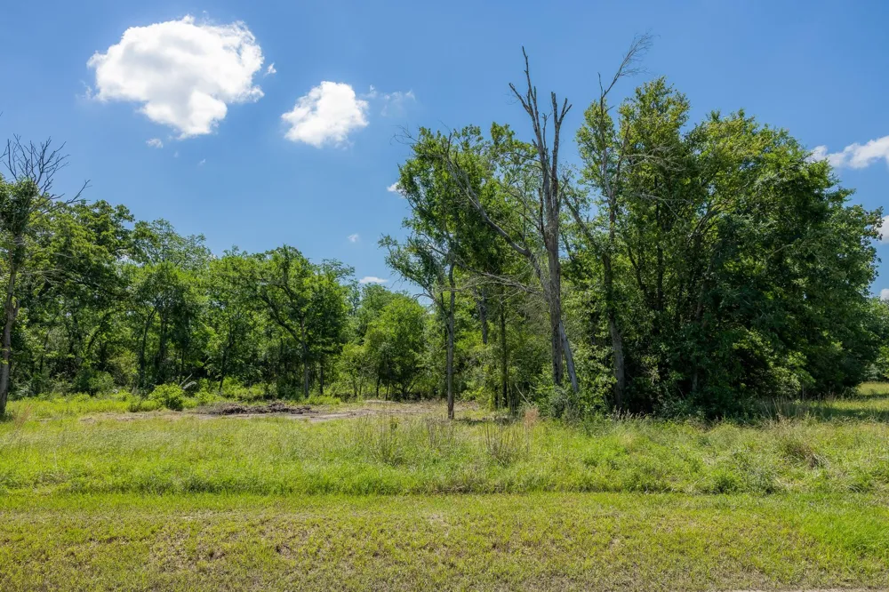 10649 Brushwood Cutoff Bedias, TX 77831