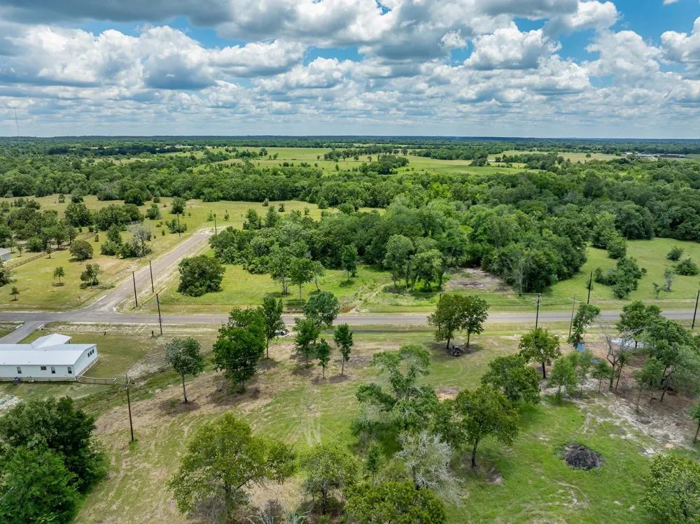 10649 Brushwood Cutoff Bedias, TX 77831