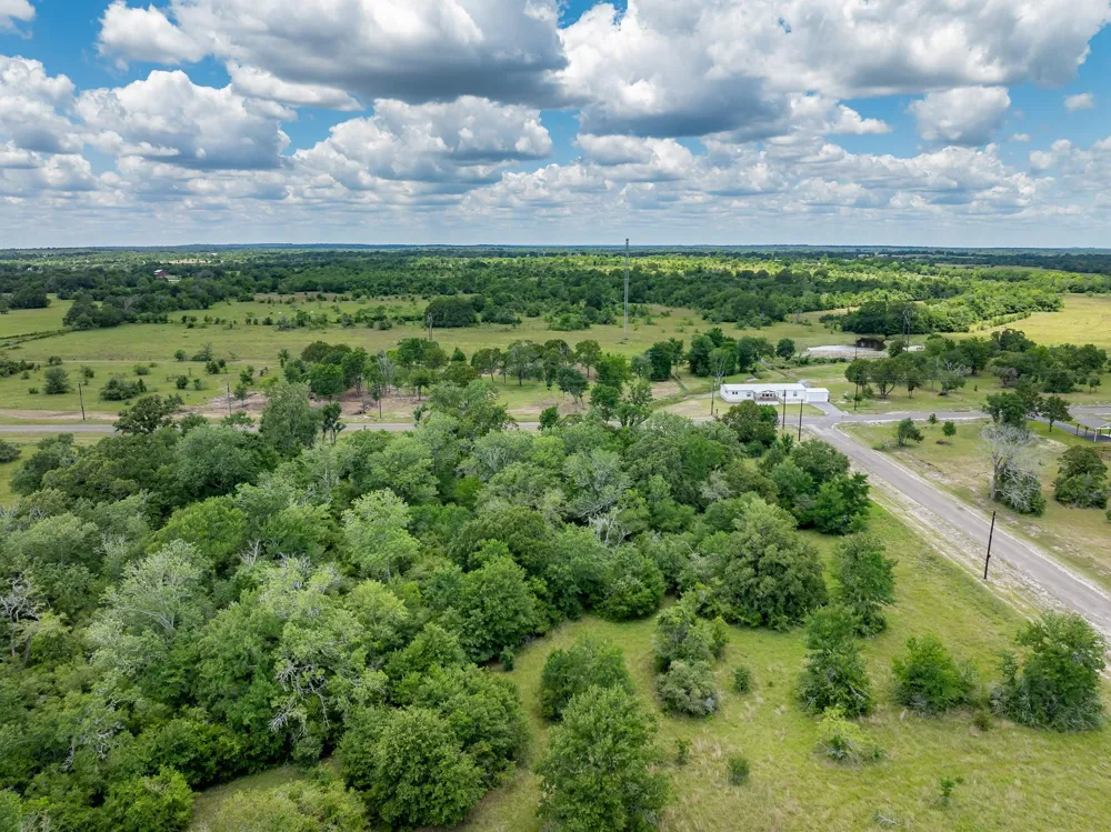 10649 Brushwood Cutoff Bedias, TX 77831