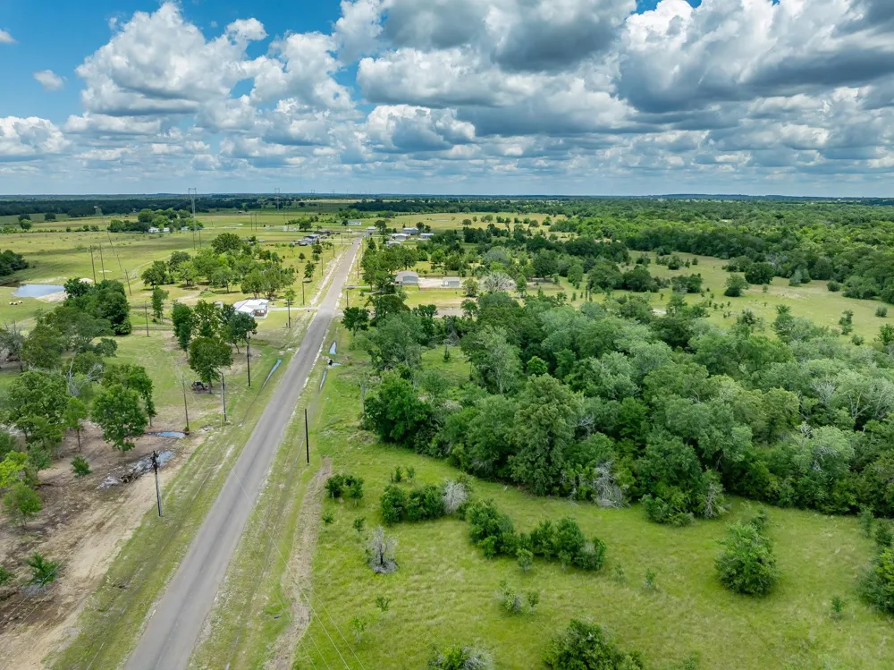 10649 Brushwood Cutoff Bedias, TX 77831
