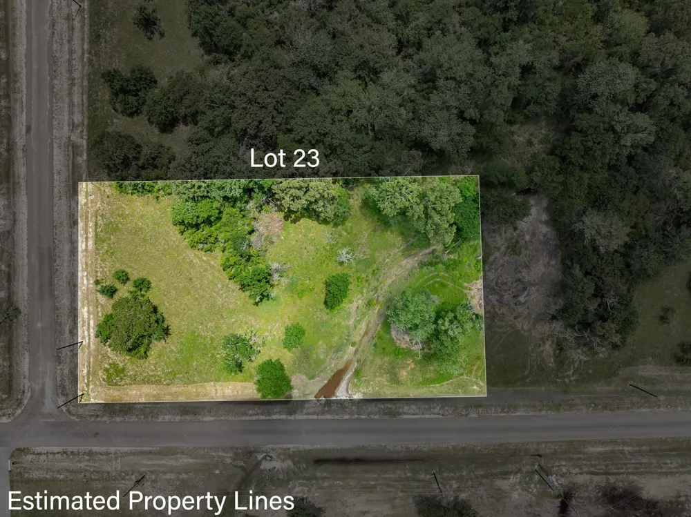 10649 Brushwood Cutoff Bedias, TX 77831