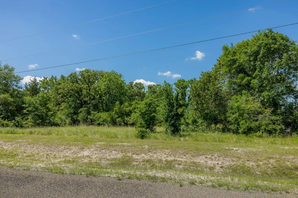 10649 Brushwood Cutoff Bedias, TX 77831