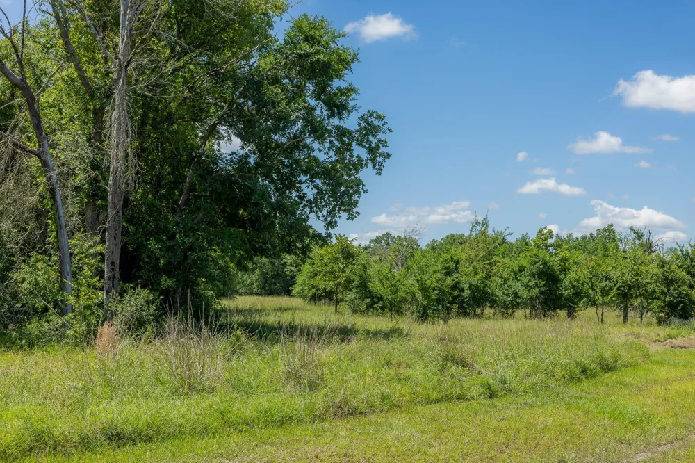 10649 Brushwood Cutoff Bedias, TX 77831