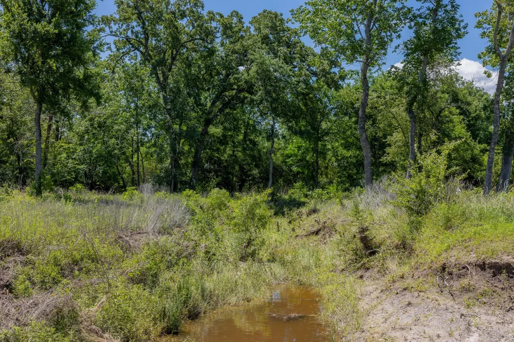 10649 Brushwood Cutoff Bedias, TX 77831