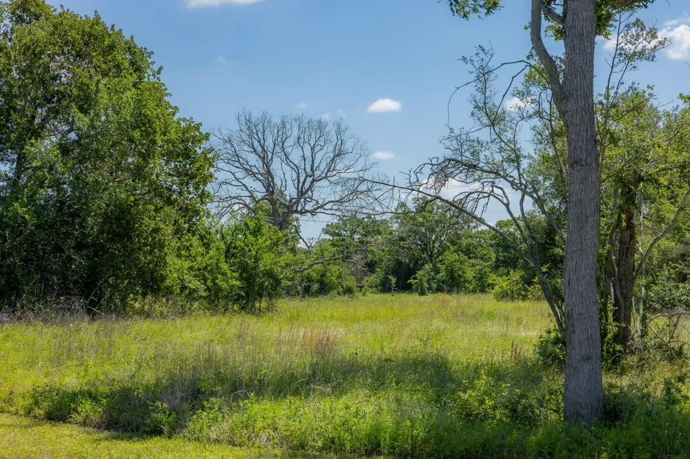 10649 Brushwood Cutoff Bedias, TX 77831