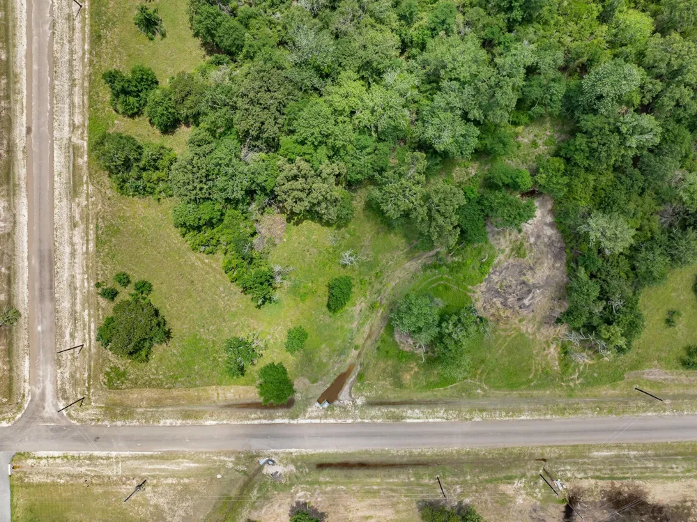 10649 Brushwood Cutoff Bedias, TX 77831