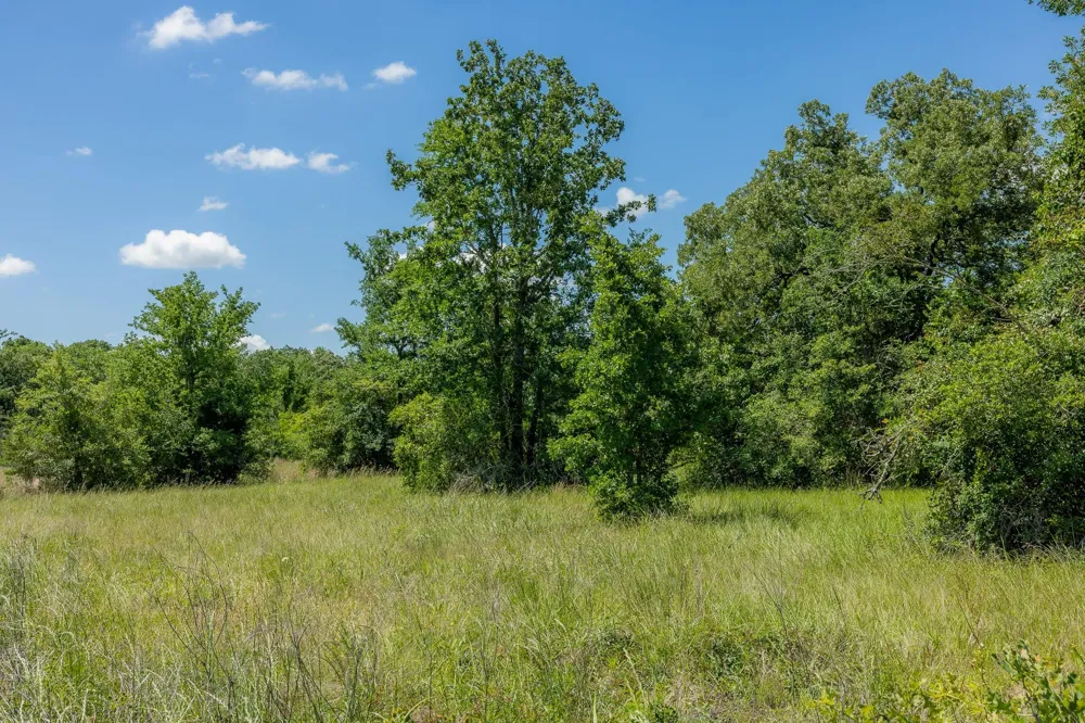 10677 Brushwood Cutoff Bedias, TX 77831