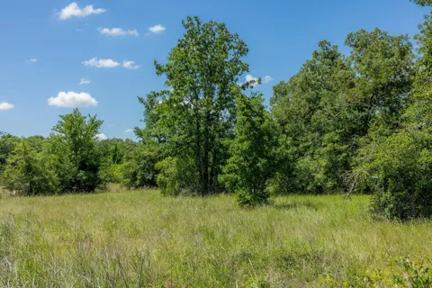 10677 Brushwood Cutoff