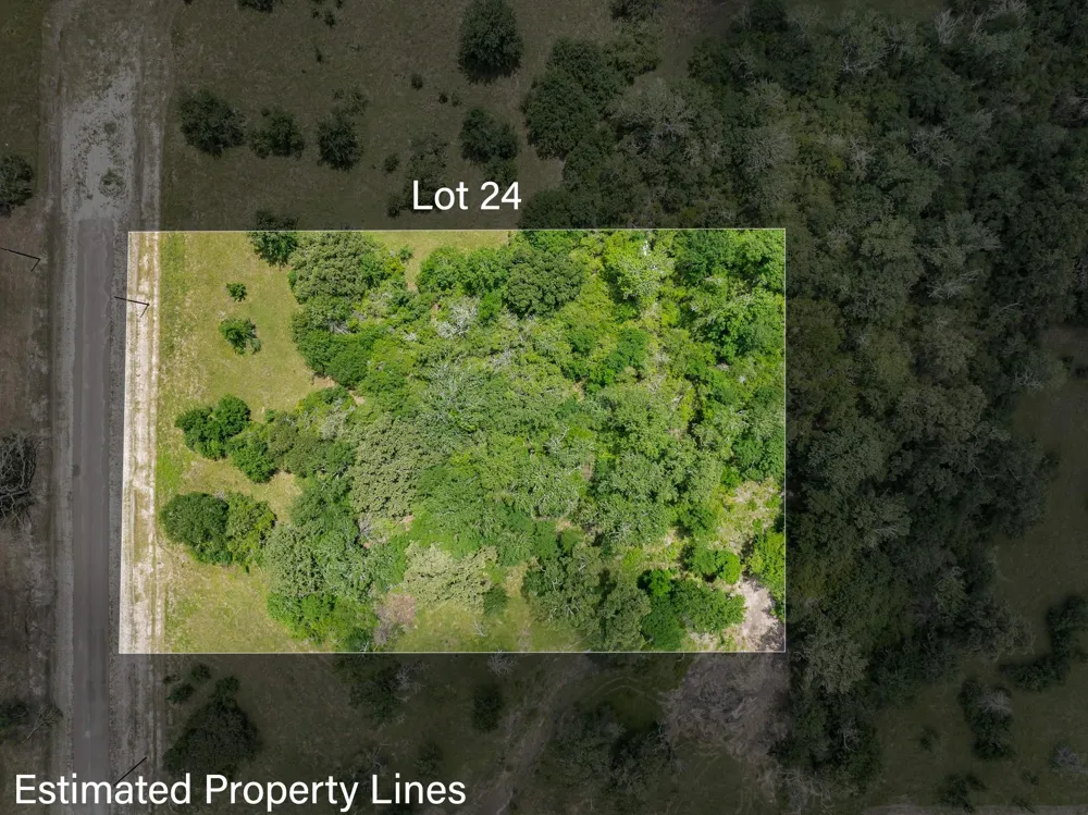 10677 Brushwood Cutoff Bedias, TX 77831