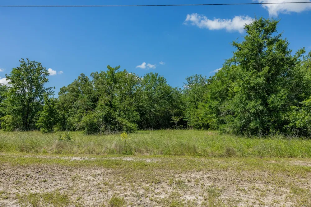 10677 Brushwood Cutoff Bedias, TX 77831