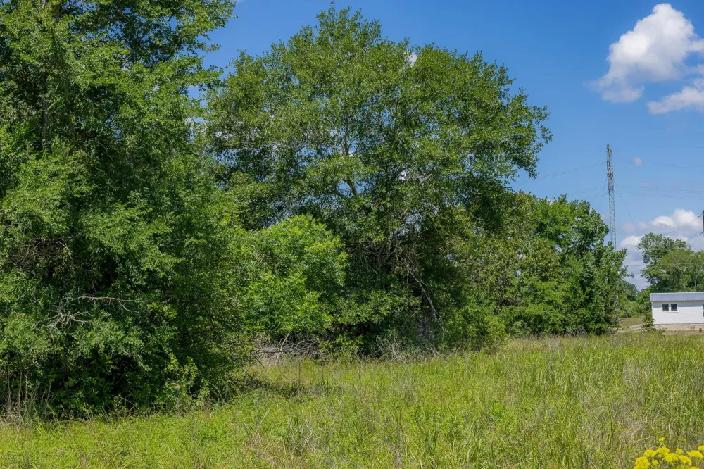 10677 Brushwood Cutoff Bedias, TX 77831