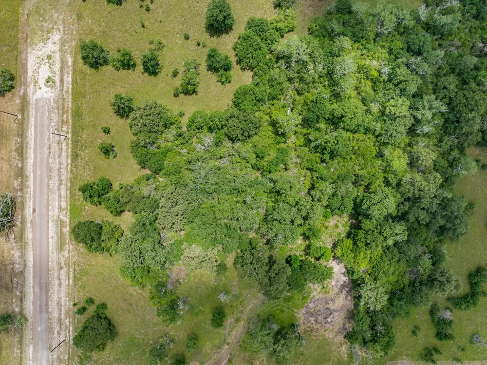 10677 Brushwood Cutoff Bedias, TX 77831