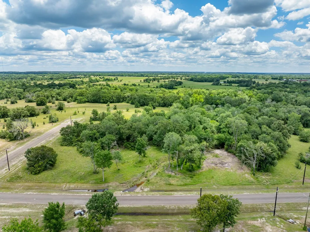 10677 Brushwood Cutoff Bedias, TX 77831