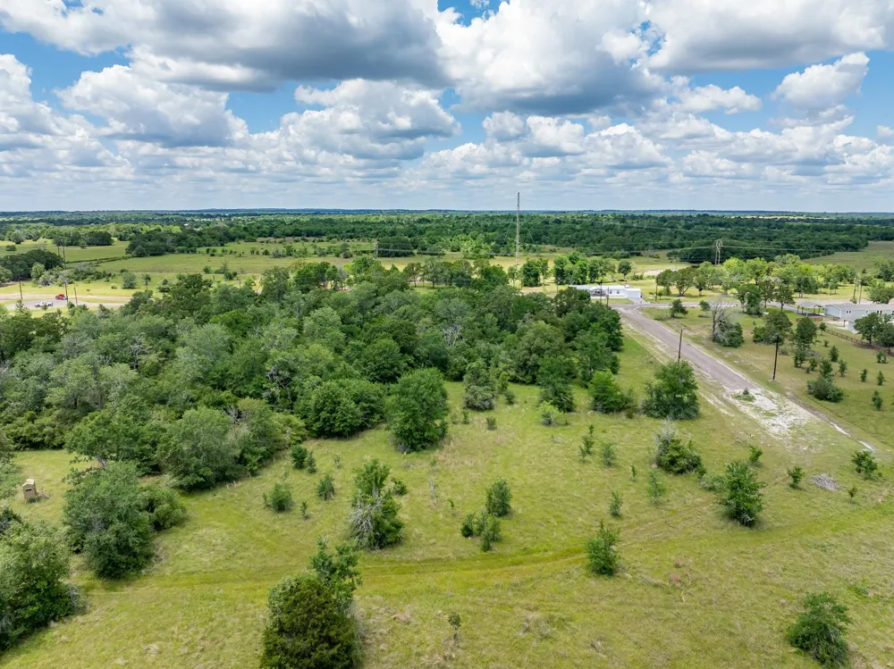 10677 Brushwood Cutoff Bedias, TX 77831