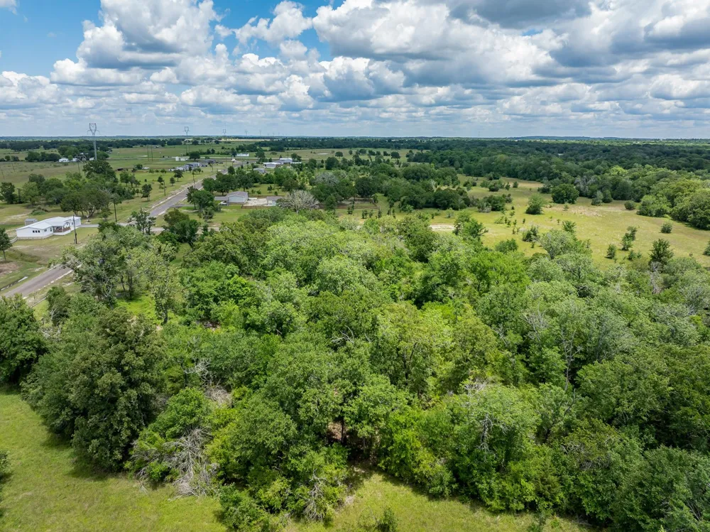 10677 Brushwood Cutoff Bedias, TX 77831
