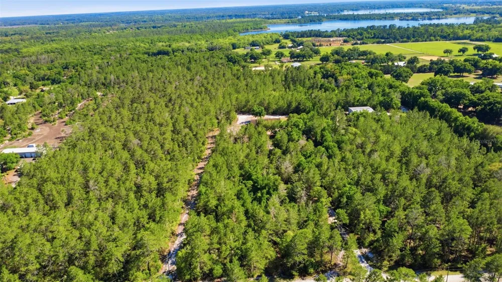 1640 RED DOG ROAD De Leon Springs, FL 32130