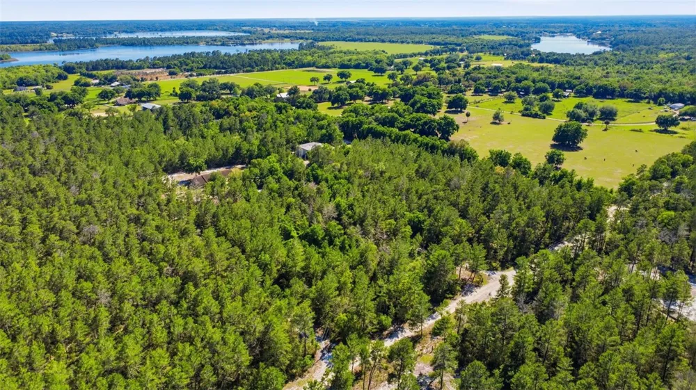 1640 RED DOG ROAD De Leon Springs, FL 32130