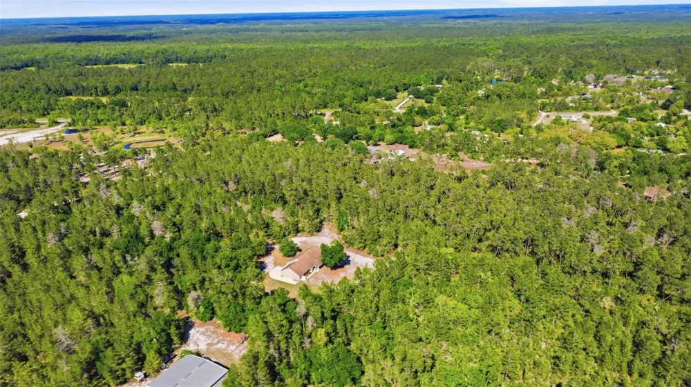 1640 RED DOG ROAD De Leon Springs, FL 32130