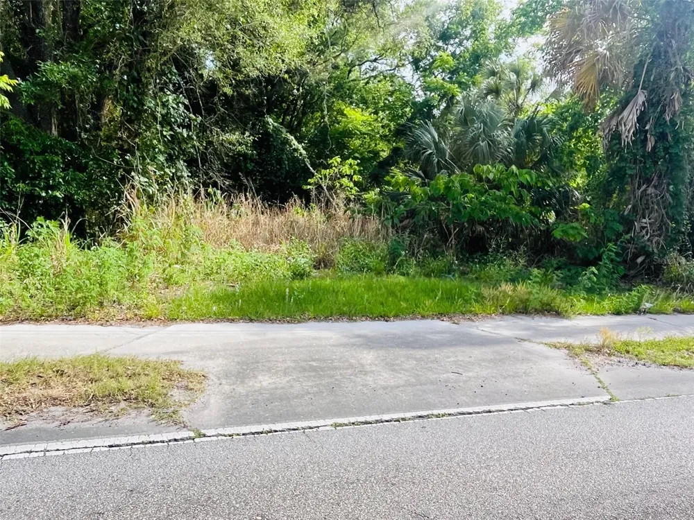 TBD CELERY AVENUE Sanford, FL 32771