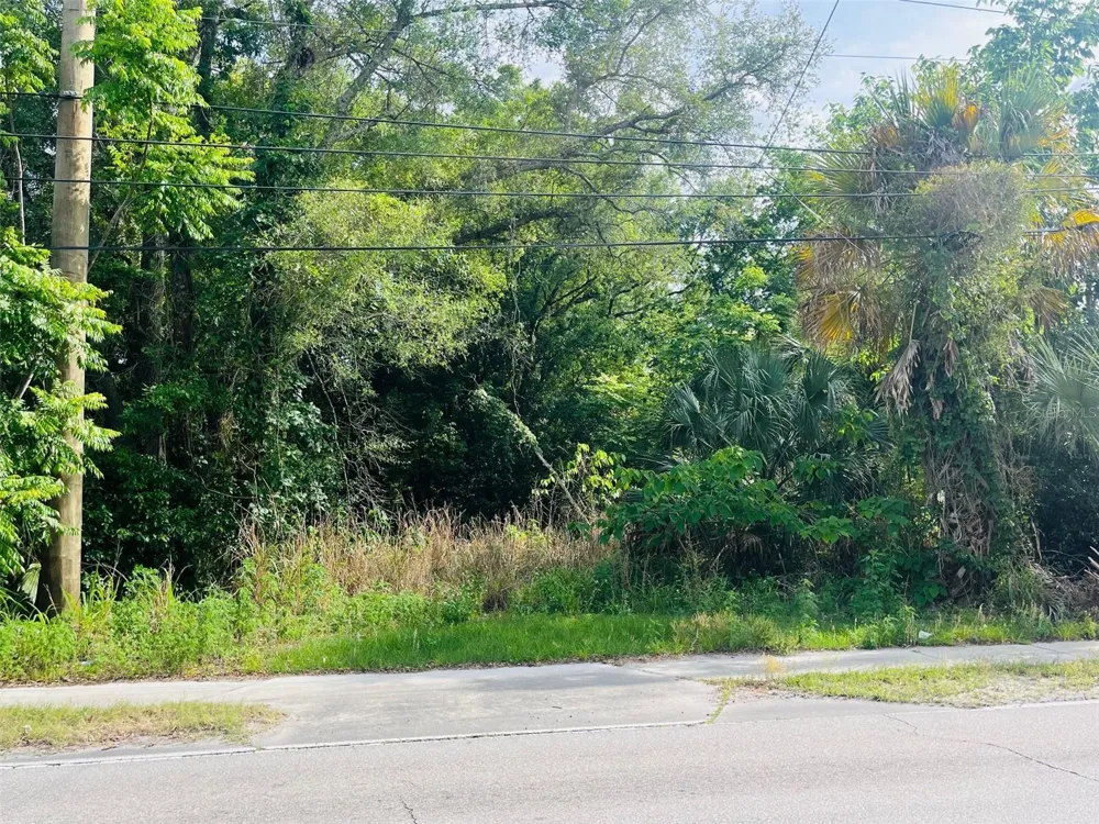 TBD CELERY AVENUE Sanford, FL 32771