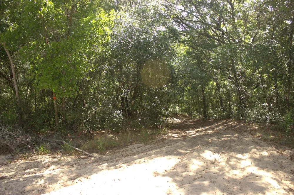 REDBUD ROAD Lady Lake, FL 32159